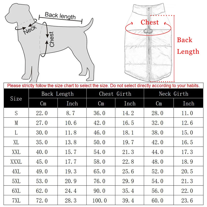 Veste d'hiver imperméable pour chien