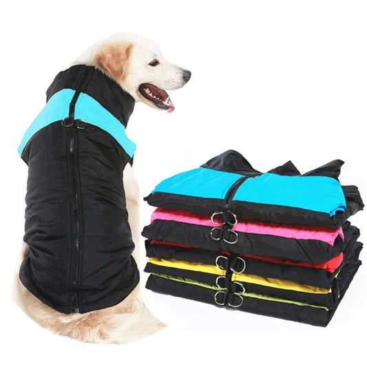 Veste d'hiver imperméable pour chien