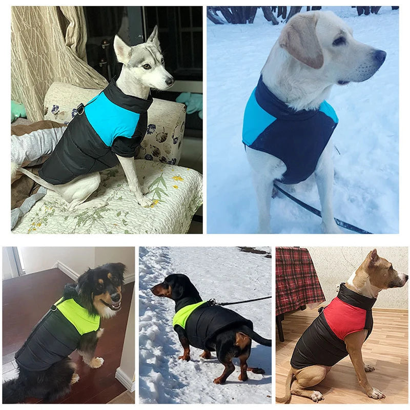 Veste d'hiver imperméable pour chien