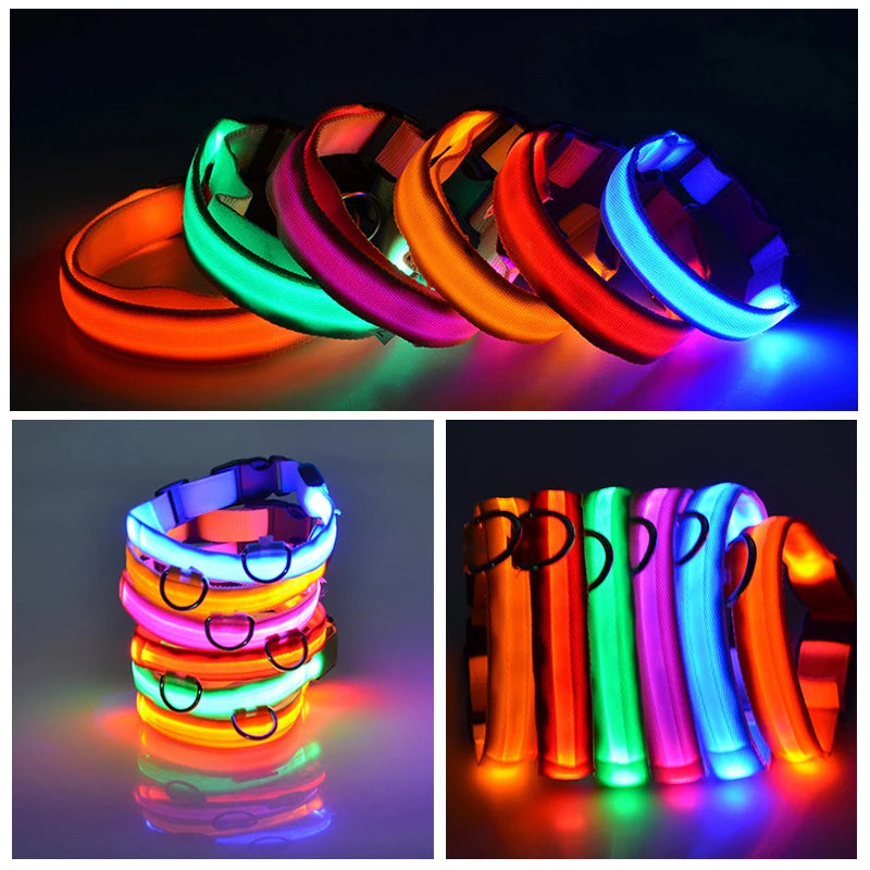 Collier LED pour chiens