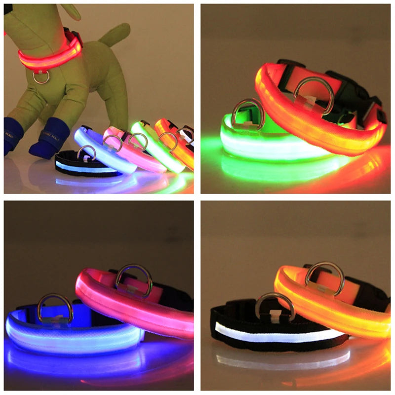 Collier LED pour chiens