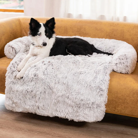 Coussin pour chiens