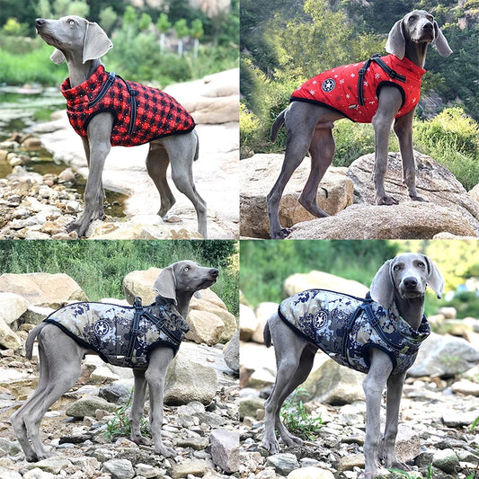 manteau avec harnais pour chiens