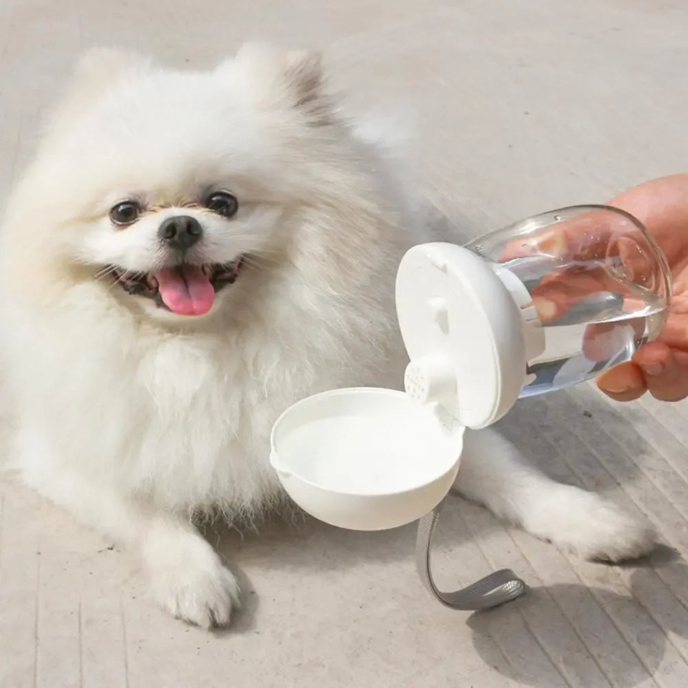 Gourde portable pour chiens