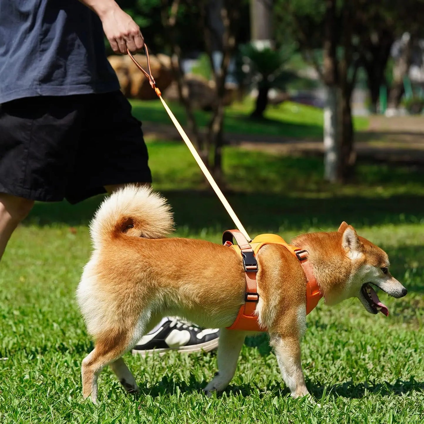 Harnais réglable pour chiens