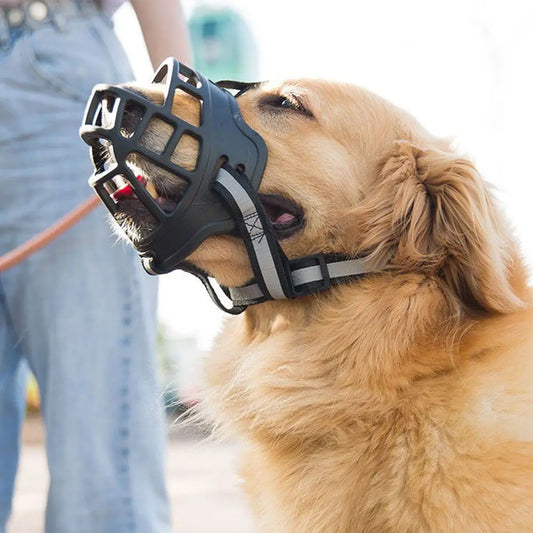 muselière pour chiens