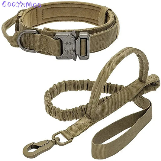 Collier et laisse pour chiens