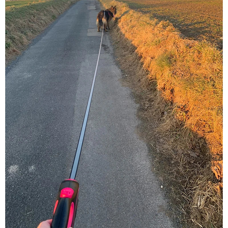 laisse pour chien rétractable