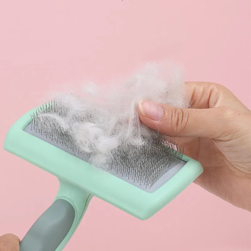 Brosse à poils pour chiens