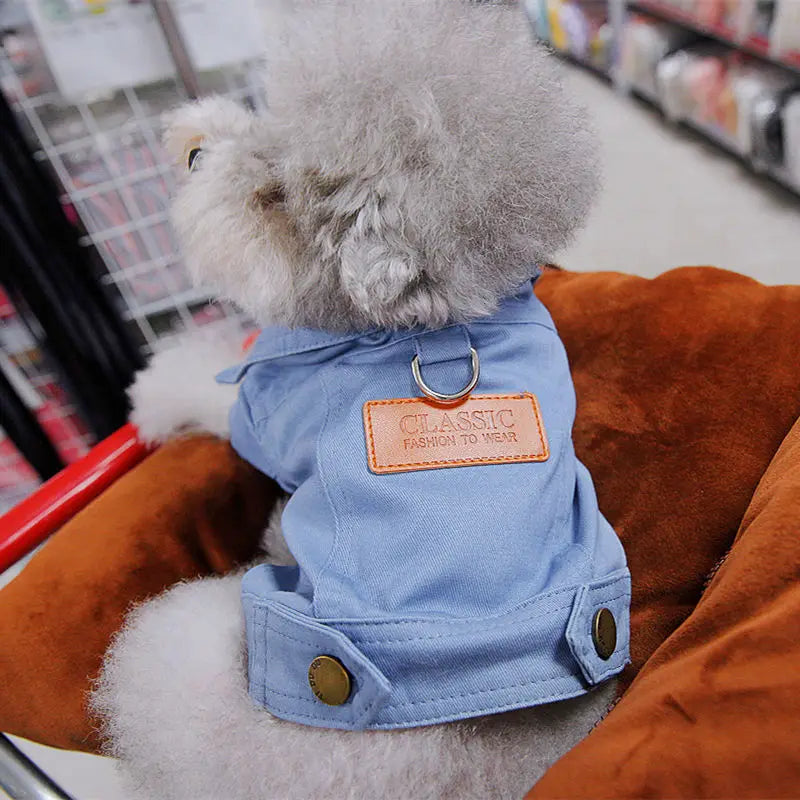 Veste de printemps pour chiens