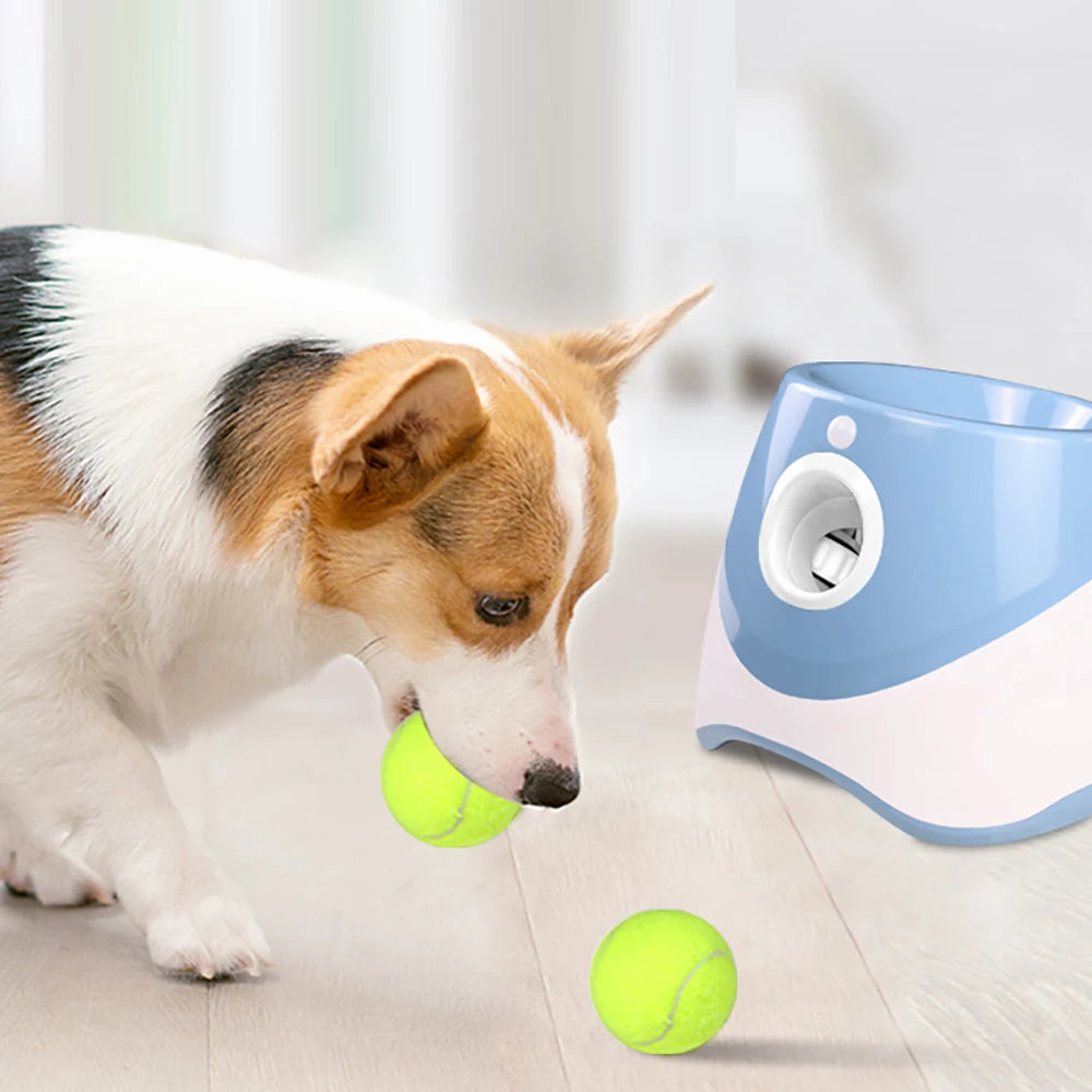 Mini lanceur de balle tennis pour chiens