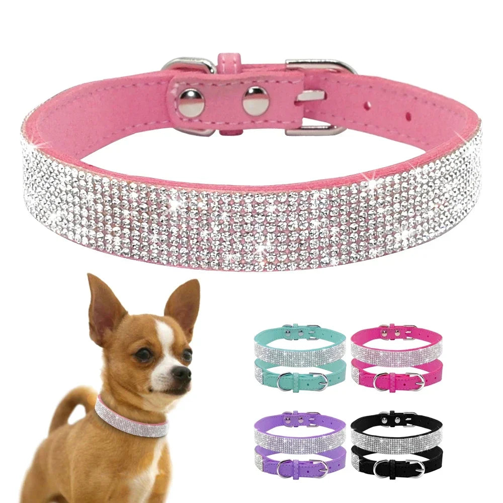 Collier imitation diamants pour chiens