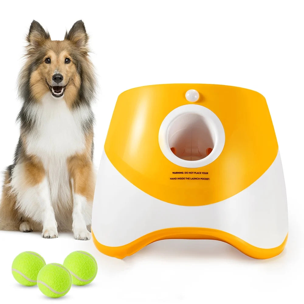 Mini lanceur de balle tennis pour chiens