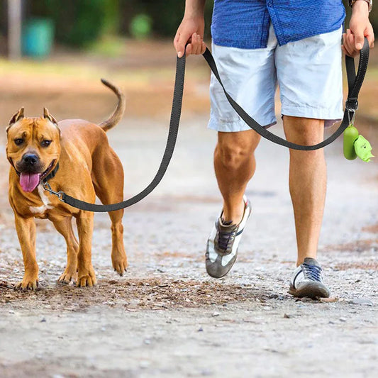 Laisse pour chiens