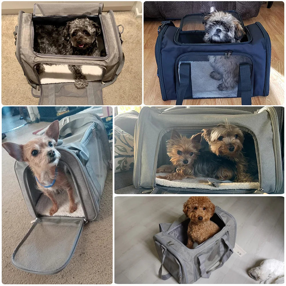 Sac de transport pour chien