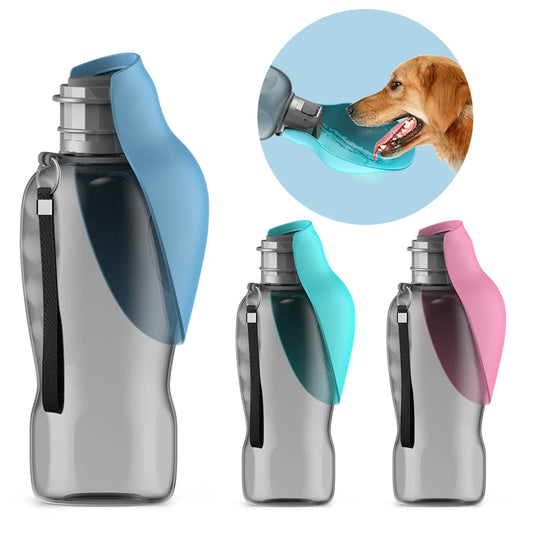 Bouteille d'eau portable pour chiens