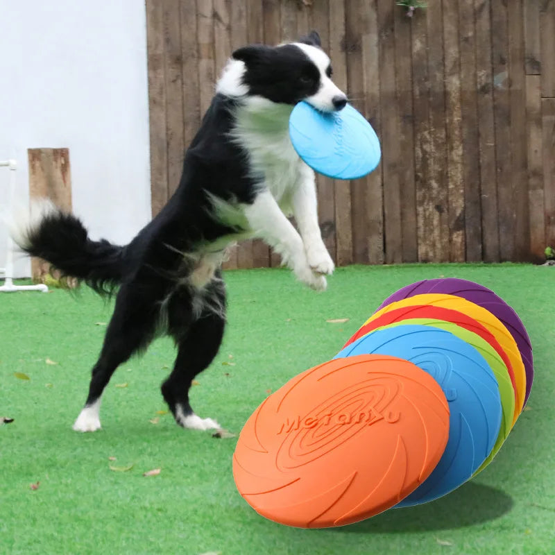 Soucoupe volante en Silicone pour chiens