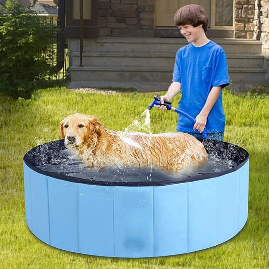 Piscine pour chiens